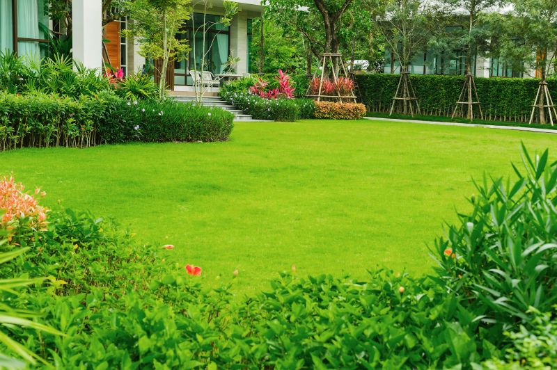 Lush Green Lawn