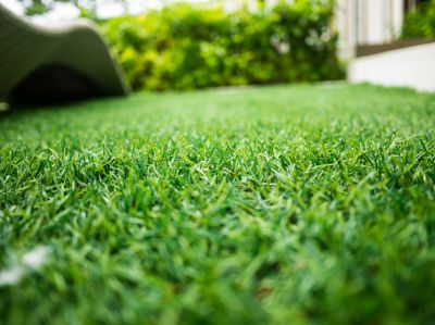 Turf is Visually Appealing!